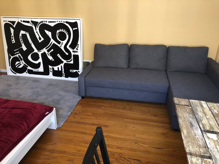 Private Room Couch/Sofa Bed