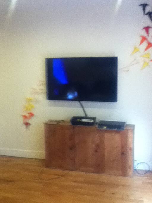 Access to TV, Netflix etc