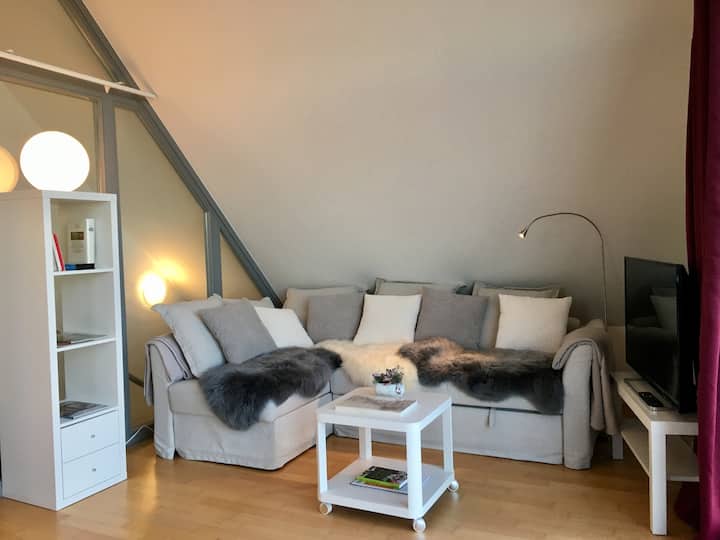 Traumhaftes Loft Mit Dem Bodensee Zu Füssen... - Stetten