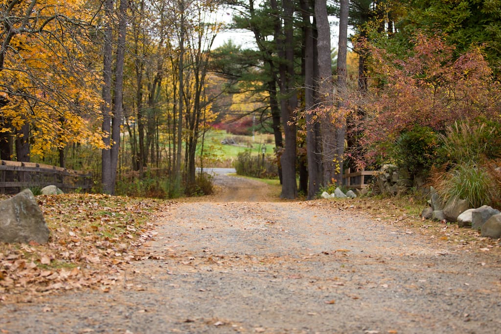 We are set back from the road on 6 secluded acres, 4 miles from Historic Downtown Portsmouth, NH and the ocean.