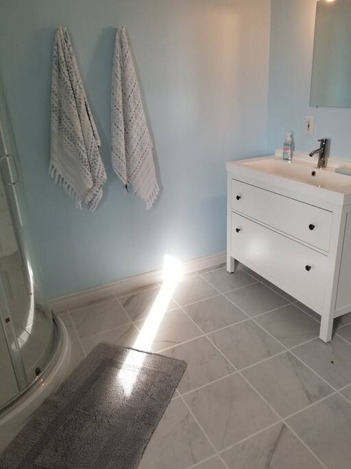 Renovated Bathroom (main floor)