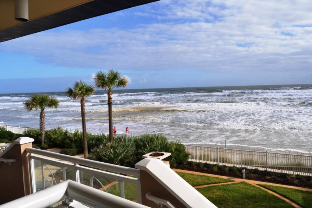 View the ocean through tropical palms