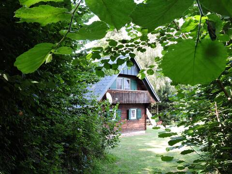 house in the middle of a forrest