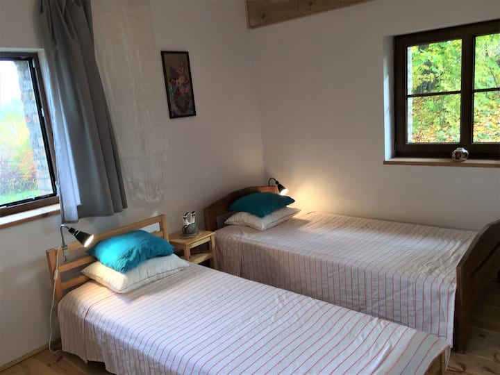 1号卧室可欣赏湖景。大衣橱和独立卫生间# 1。两张单人床。