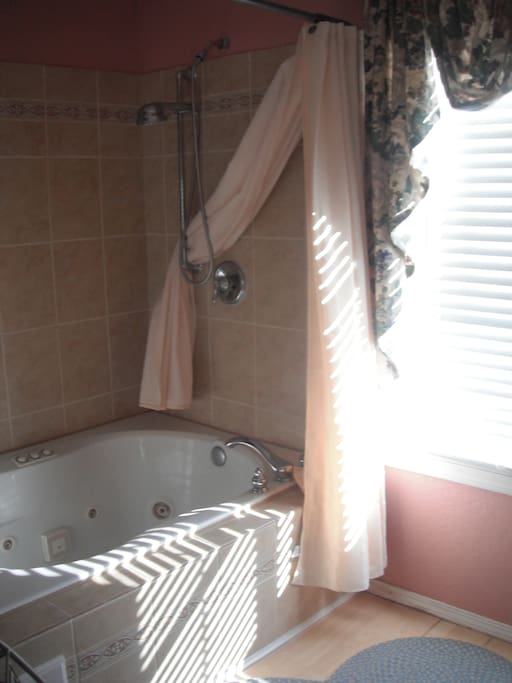 Jacuzzi bathtub big enough for two!