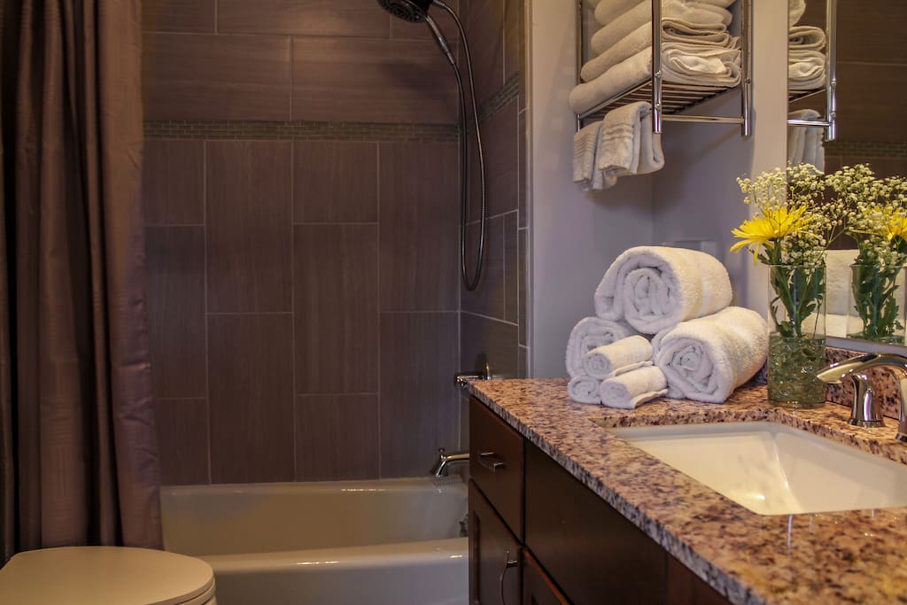 Primary Bathroom, newly renovated