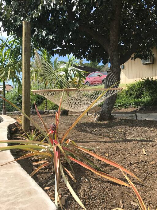 Relax in a hammock