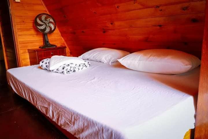 我们提供床单、枕头、浴巾，每人1条 