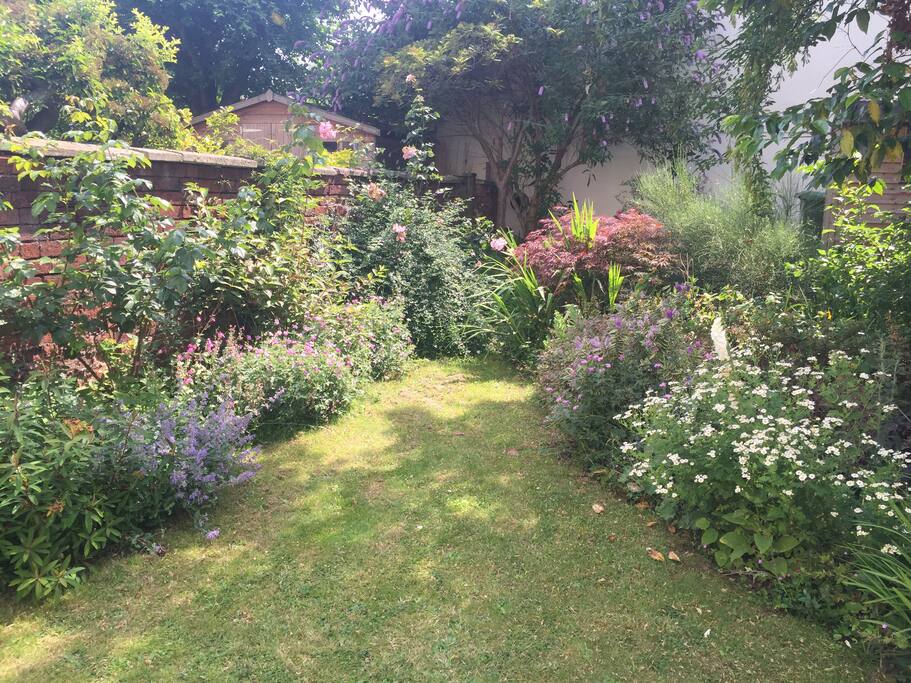 The garden in full bloom
