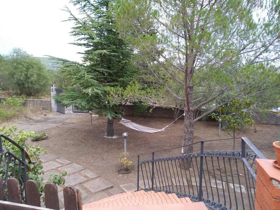 Esterno: giardino