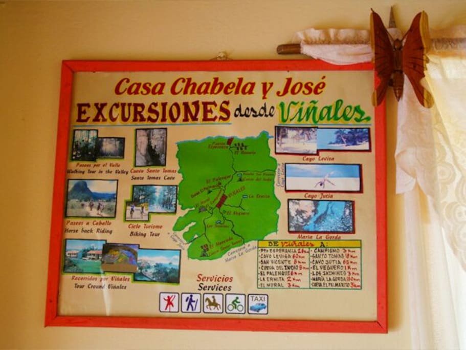 Ayudamos a organizar excursiones