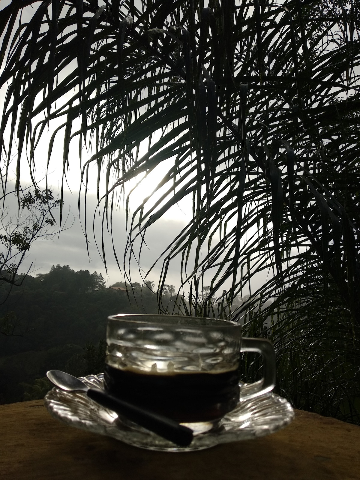 A glass cup filled with dark coffee is positioned on a delicate saucer. In the background, a lush landscape is silhouetted against a cloudy sky, with palm leaves softly framing the scene.