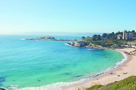 between palms, the best beach cabins