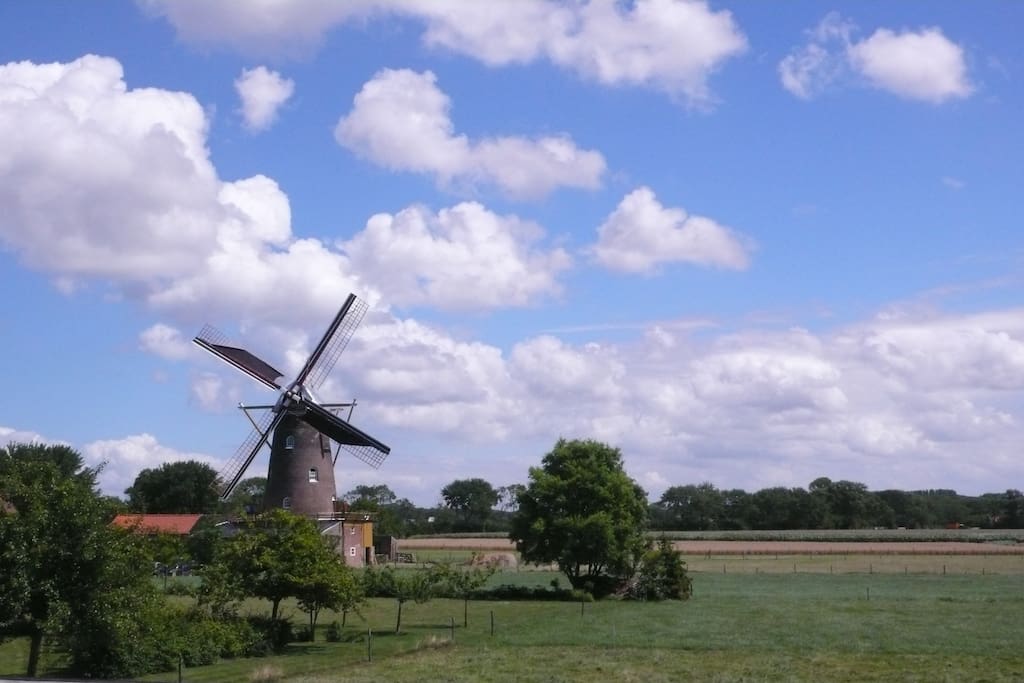 Korenmolen De Graanhalm pal achter ons huis