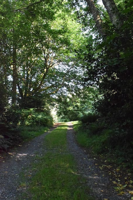 Driveway