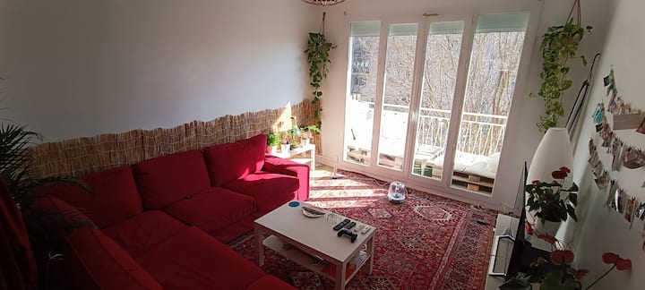 صالون / غرفة معيشة