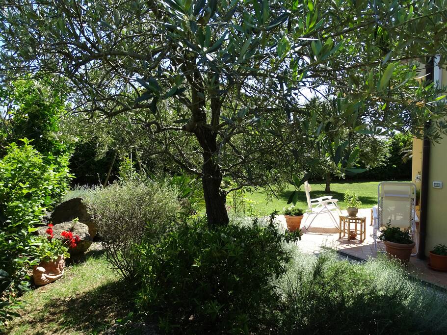 giardino