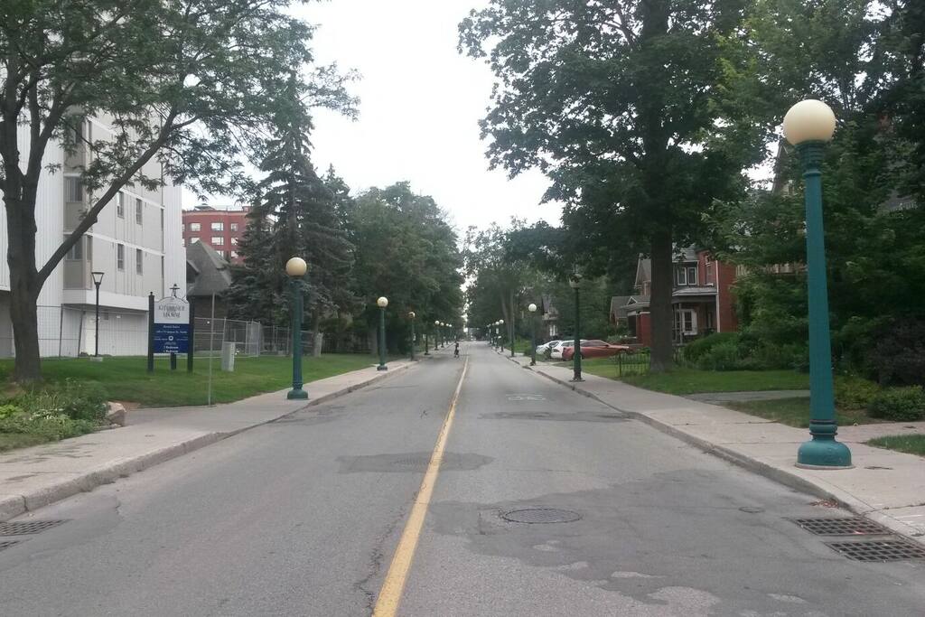 our street has little traffic and unique and beautiful orb street lamps.