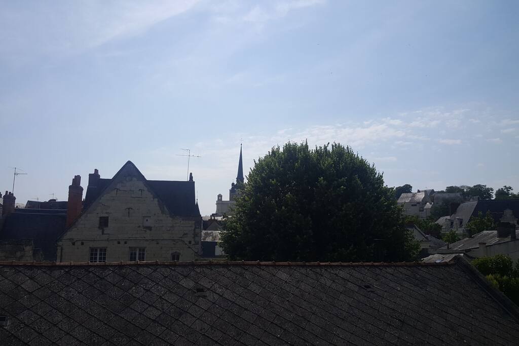 Vue dégagée sur la vielle ville et le clocher de l'Eglise Saint-Pierre