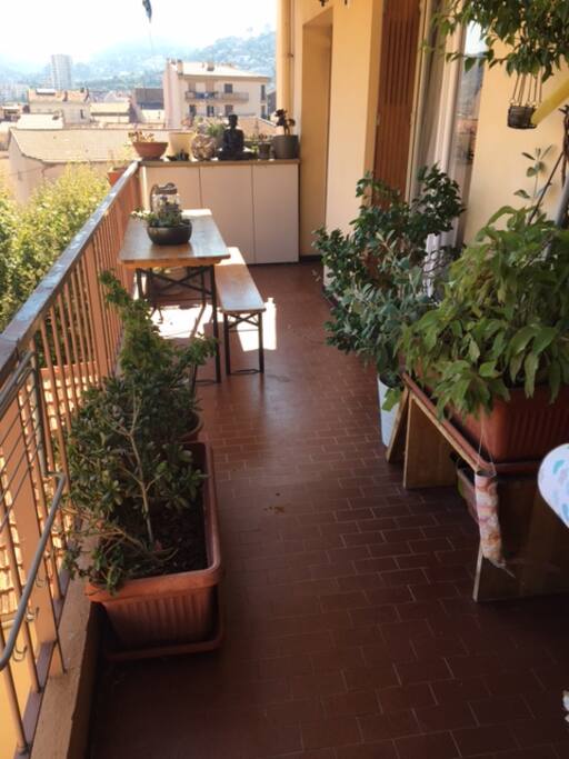 Terrasse