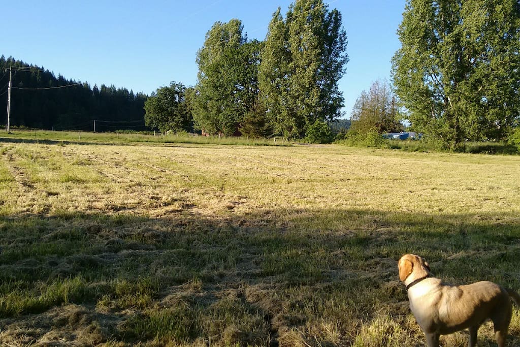 This is the camping area