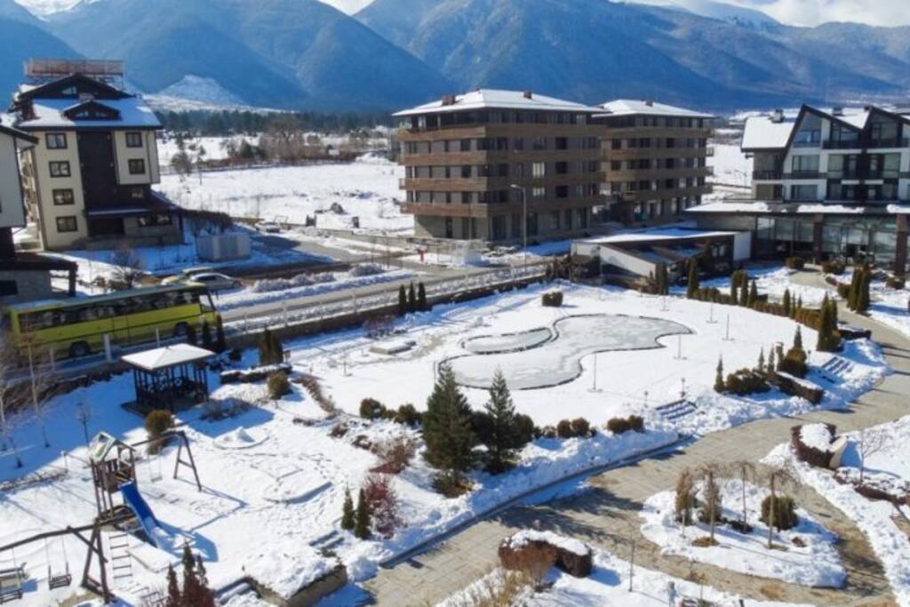 Winter View
