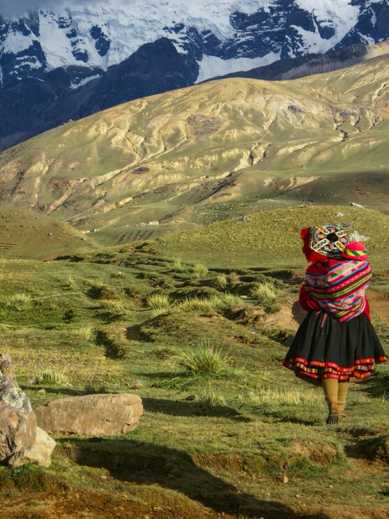 Show full-screen, host-provided image