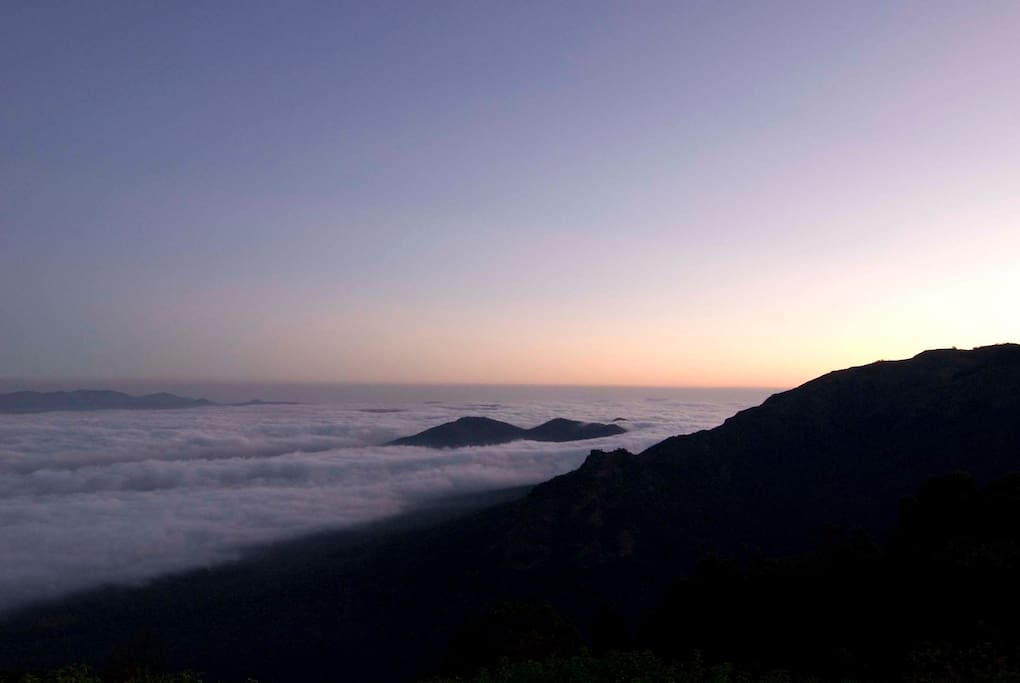 View of Masinagudi from Farm House