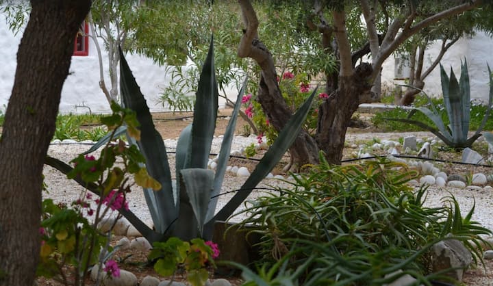 Sea View Cycladique Maisonette - Antiparos