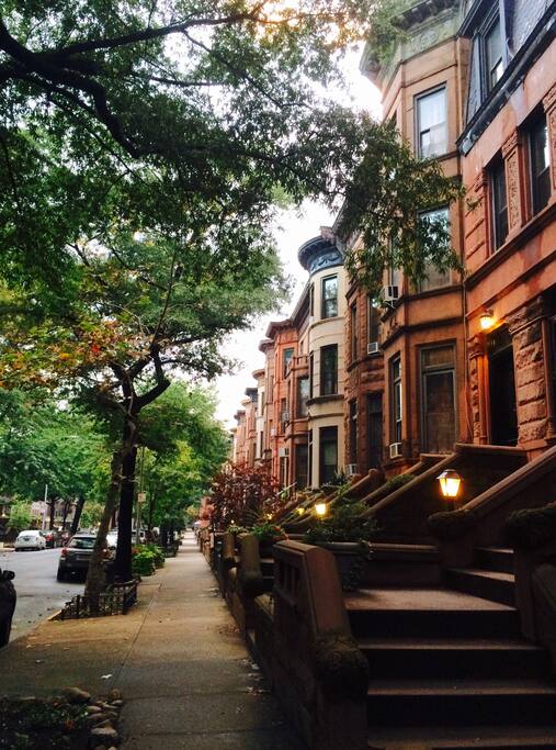 Our pretty street
