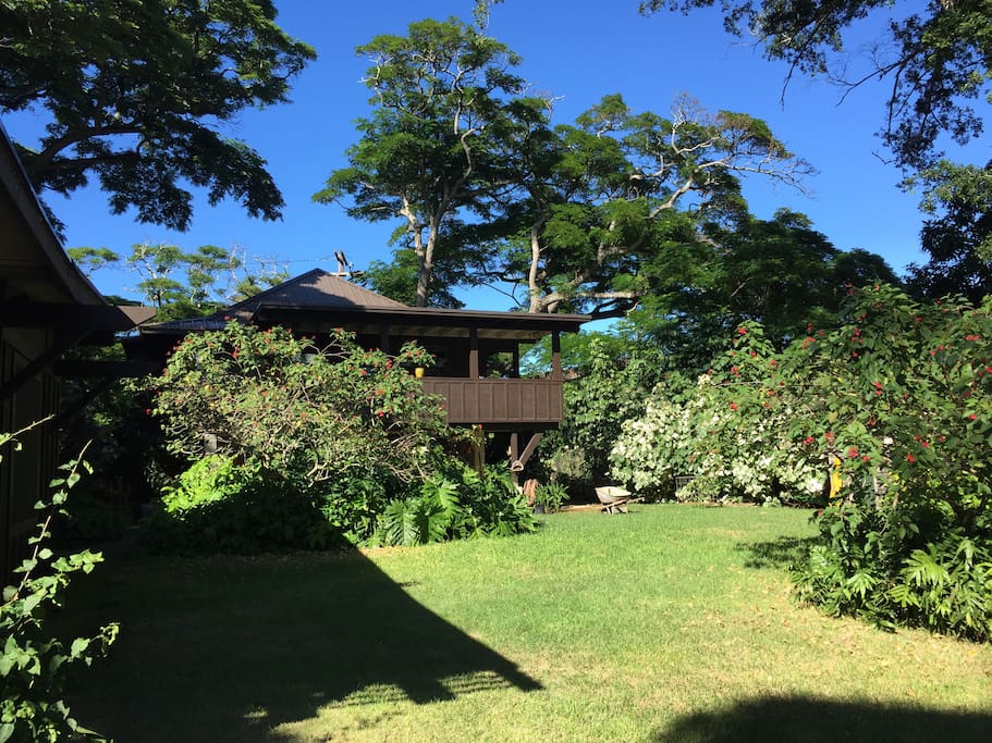 Guest house tucked under the Monkey Pod canopy.