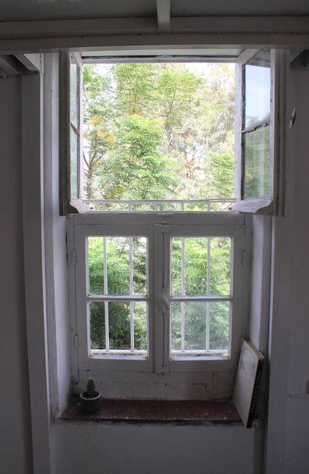 Window to the shared yard