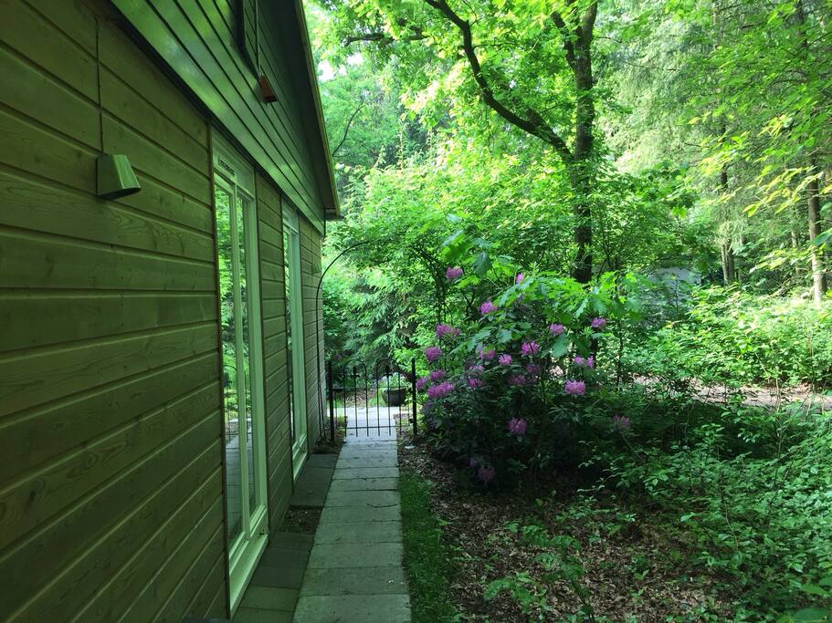 Pad naar de entree
Path to the entrance
