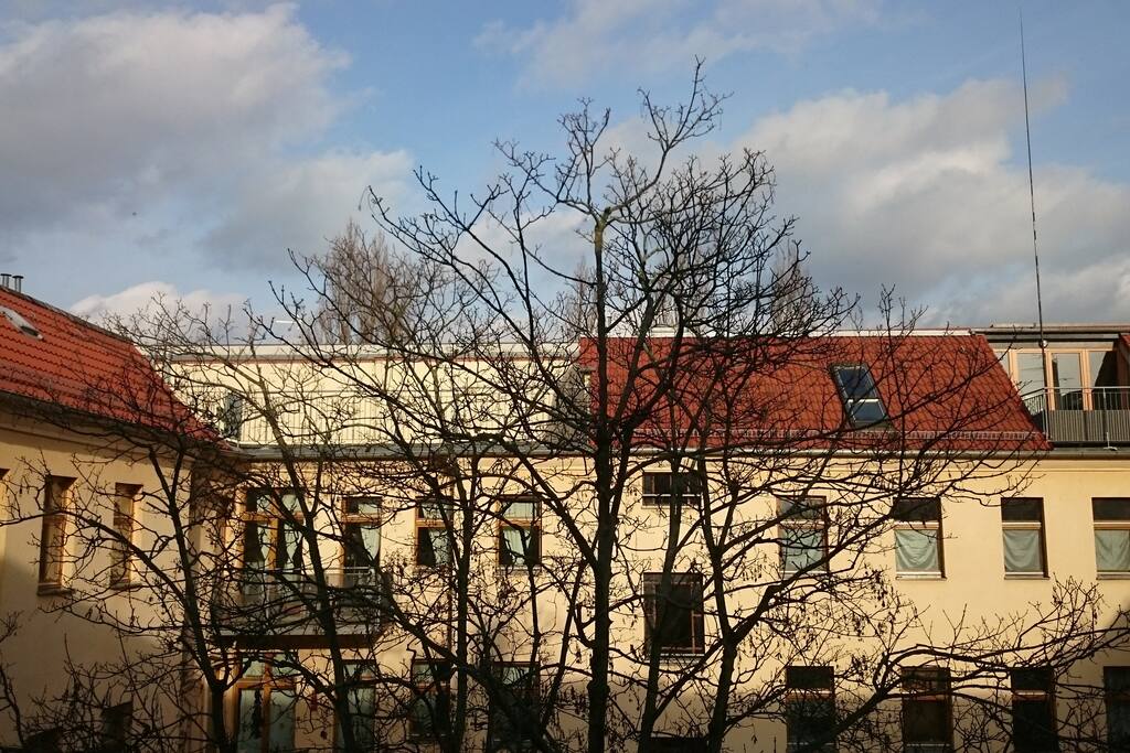window view