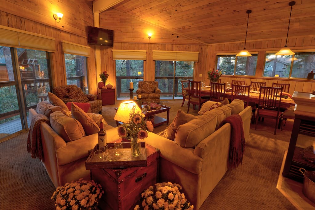 The living room is surrounded by windows an all sides - completely surrounded by forest.