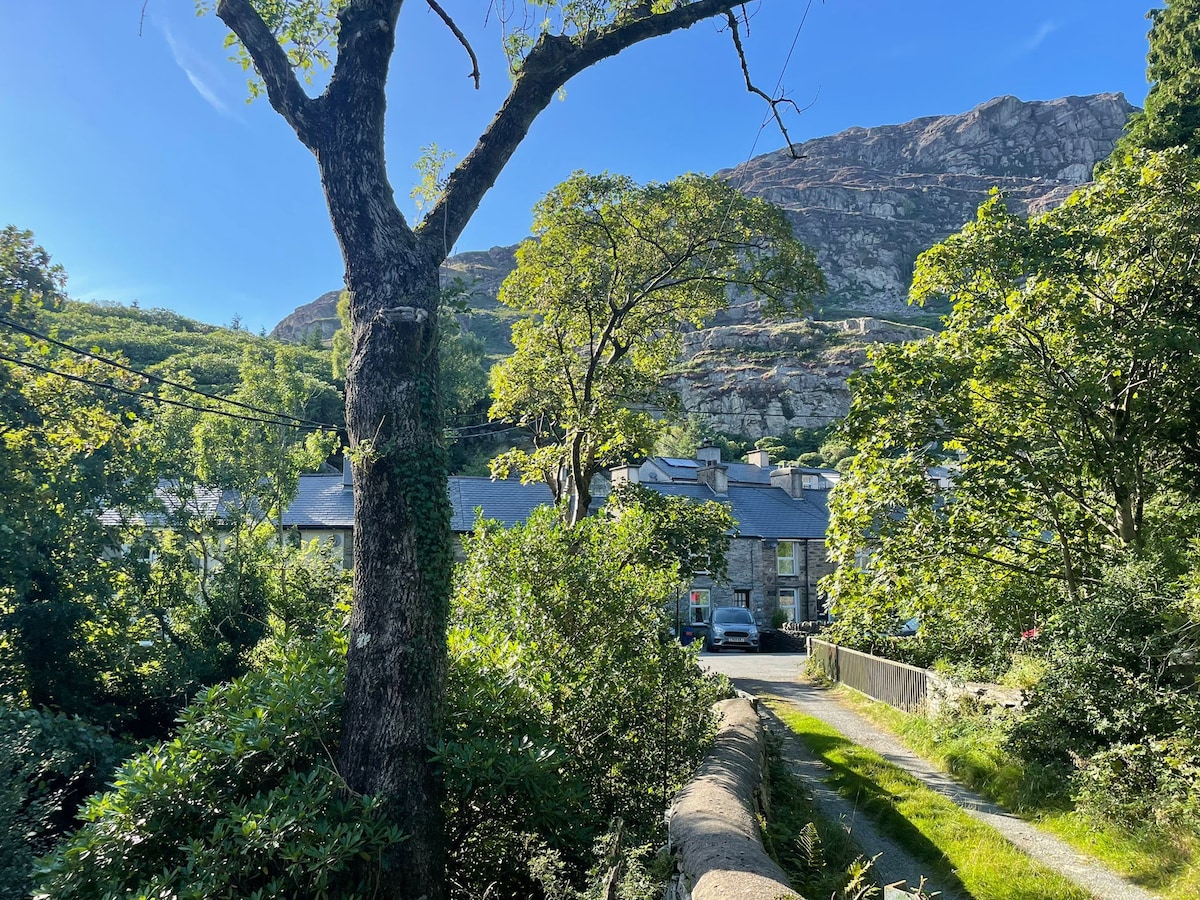 A scenic view captures the cottage nestled among trees, with mountains rising in the background. A pathway leads towards the cottage, surrounded by green foliage. The clear blue sky above enhances the tranquil atmosphere of the natural setting.