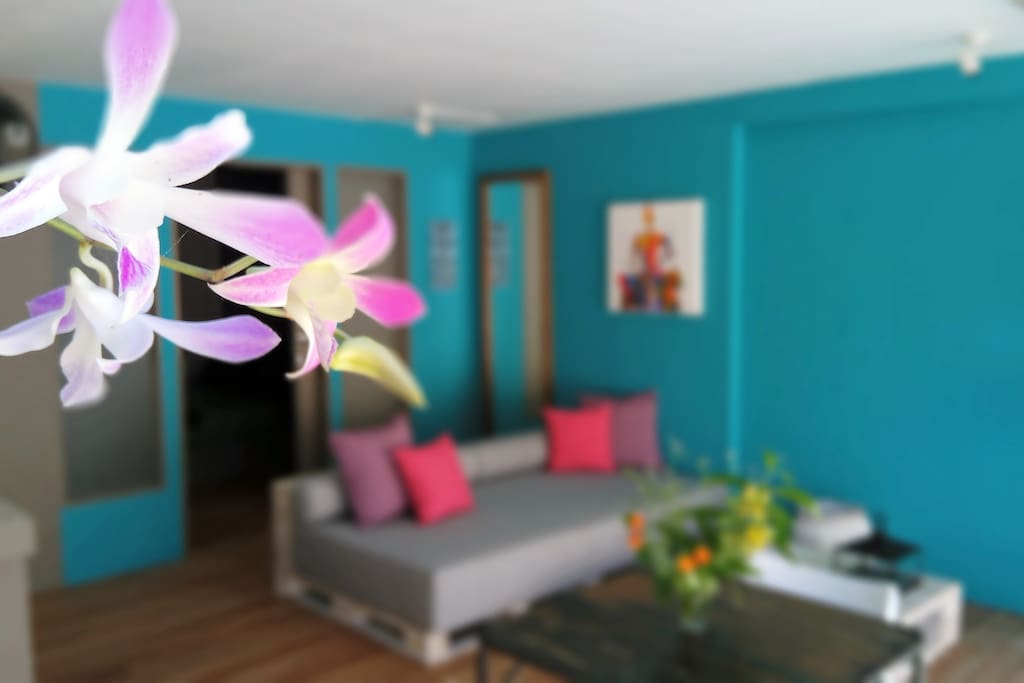 Orchids,