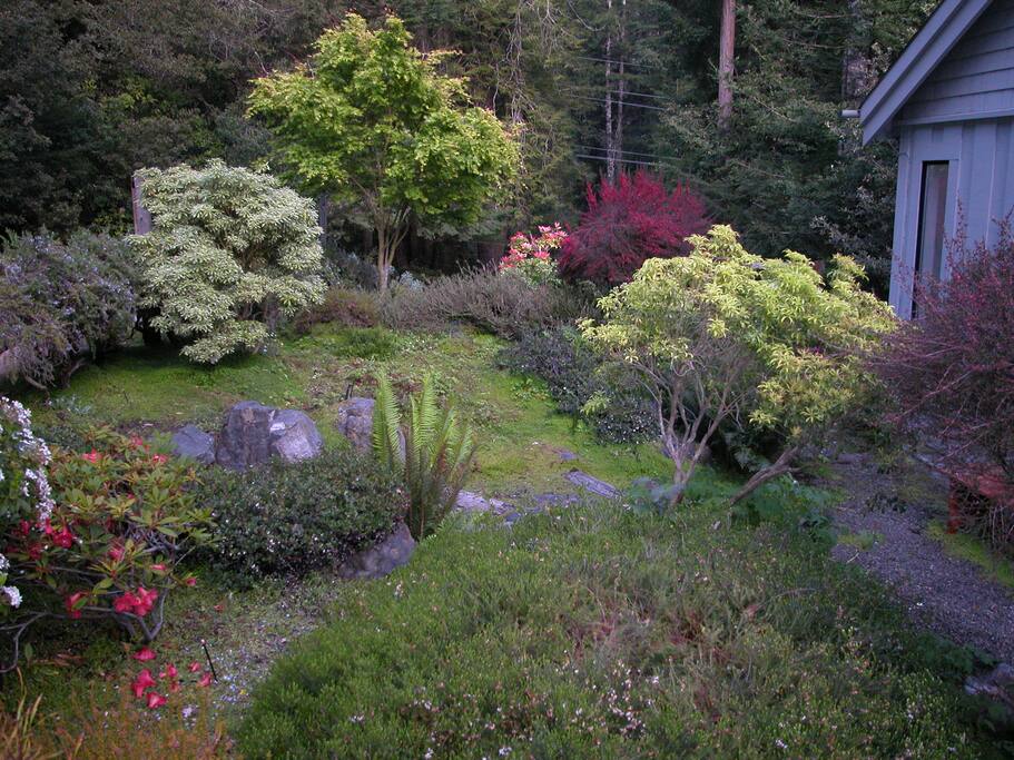 Garden between Guest House and Main House