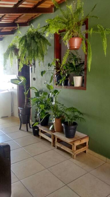 área de convivência + janelinha da sala + porta da cozinha