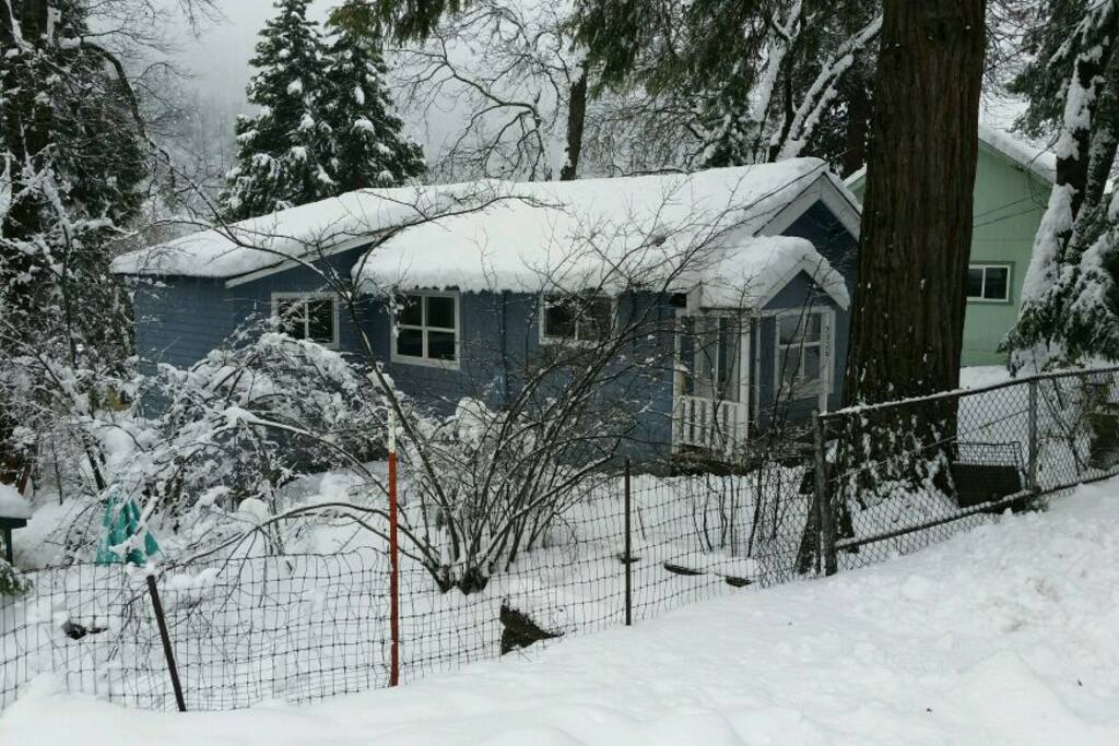 Photo taken on 1/8/2017.