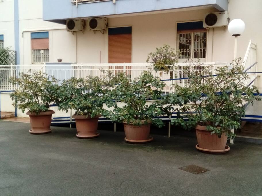 INGRESSO ANDRONE CON SCIVOLO