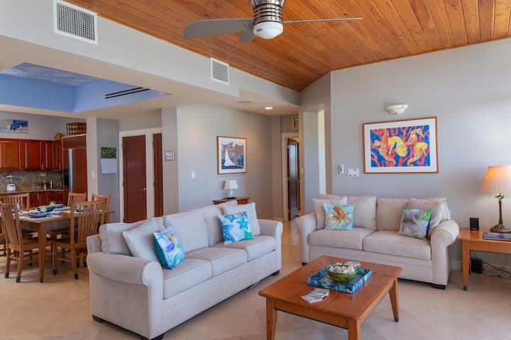 Sehemu ya Kukaa yenye Sofa ya Kulala