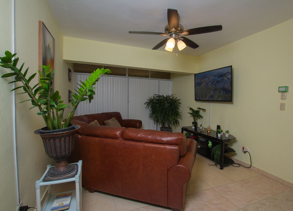 A cozy living area features a large brown leather sofa facing a wall-mounted television. Two indoor plants add greenery to the space. Soft lighting is provided by a ceiling fan with light fixtures, and large windows are covered by blinds, allowing natural light to filter in.
