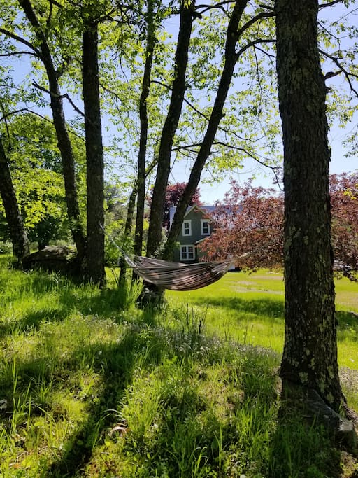 Take a nap in the hammock!
