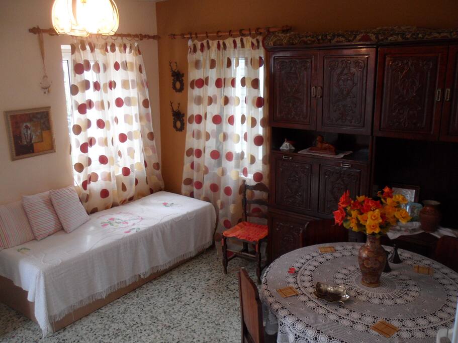 Living room and couch bed