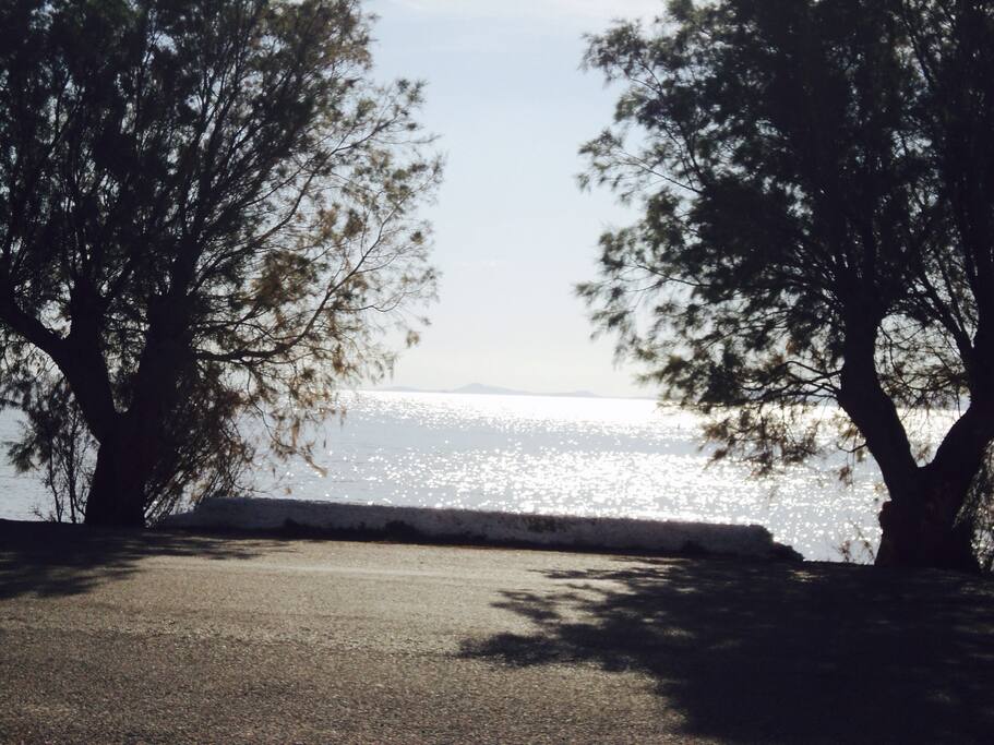 Few steps from our house....