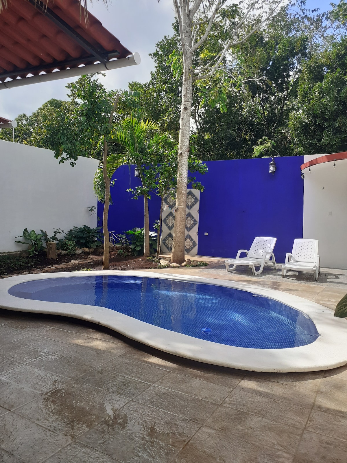 A small, inviting pool is surrounded by a lush garden area featuring tropical plants. Two white lounge chairs are placed beside the pool, offering a place to relax. A vibrant blue wall in the background enhances the tranquil ambiance.