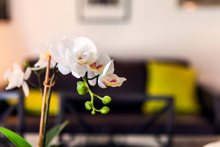 Boho-chic Alfama apartment with a river view gallery image 3