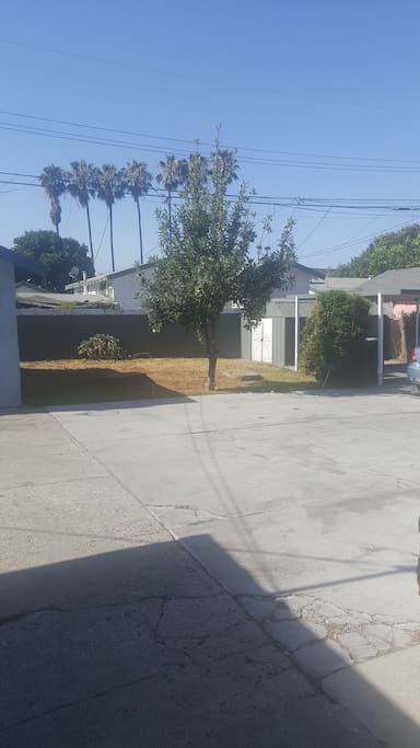 Back yard up to (6 cars!)