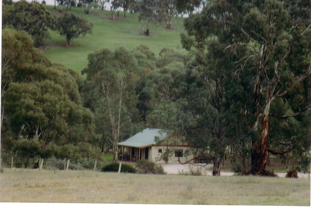 Nestled amid trees on 35ha